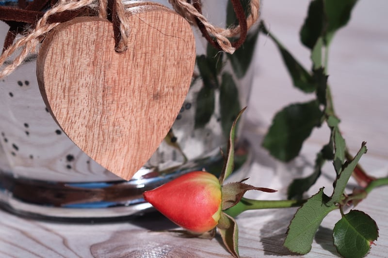 Rustic Chic Concepts